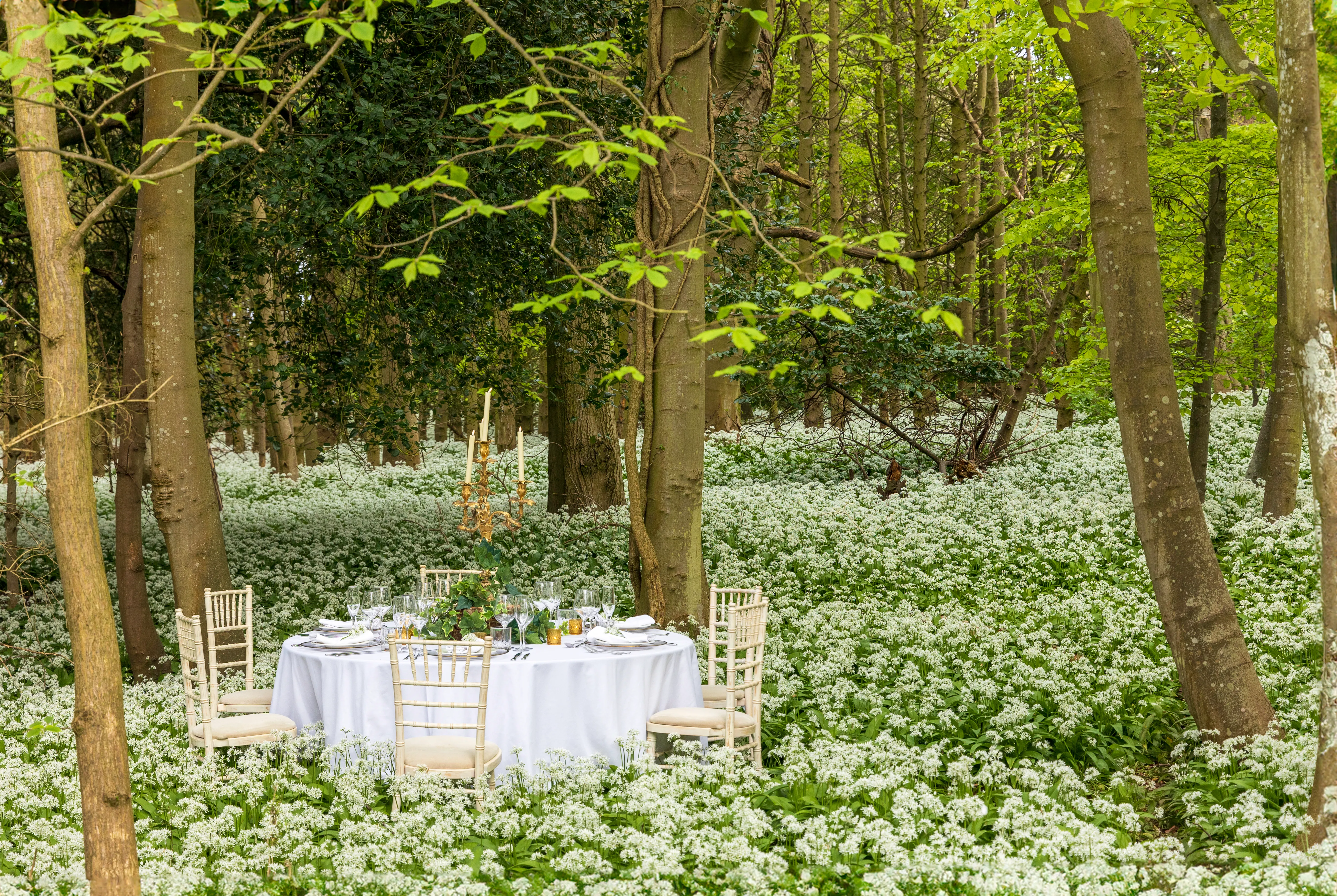 Your Wedding image 5